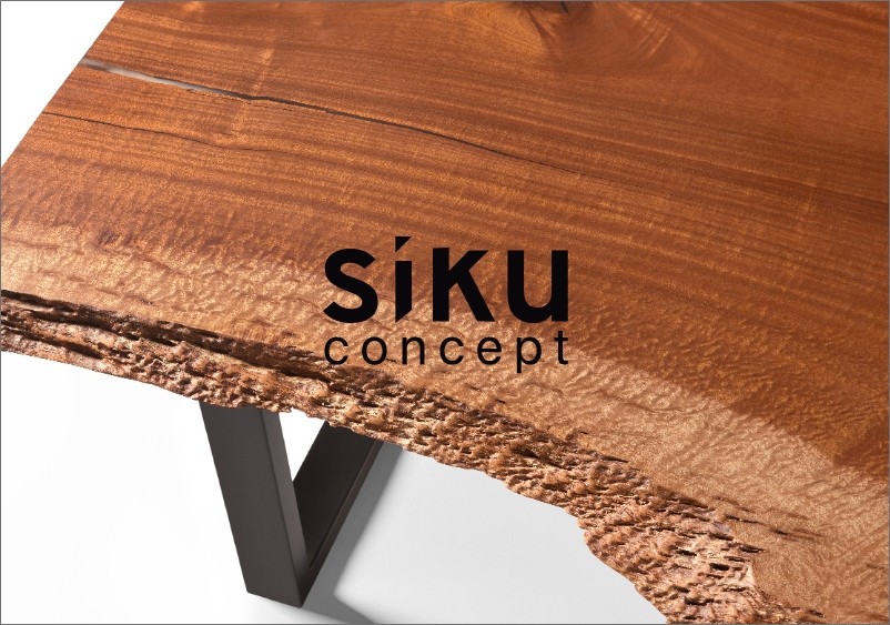 proyecto-siku-concept